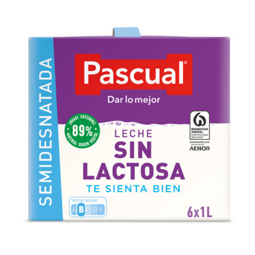 LECHE PASCUAL SEMI S/LACT.1L