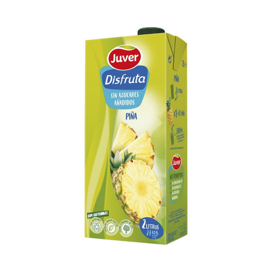 NECTAR JUVER DISF.PIÑA BRICK 2L